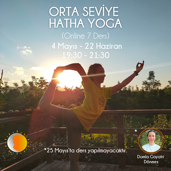 Orta Seviye Hatha Yoga